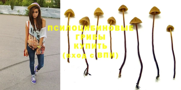 не бодяженный Армянск